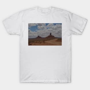 850_3519 T-Shirt